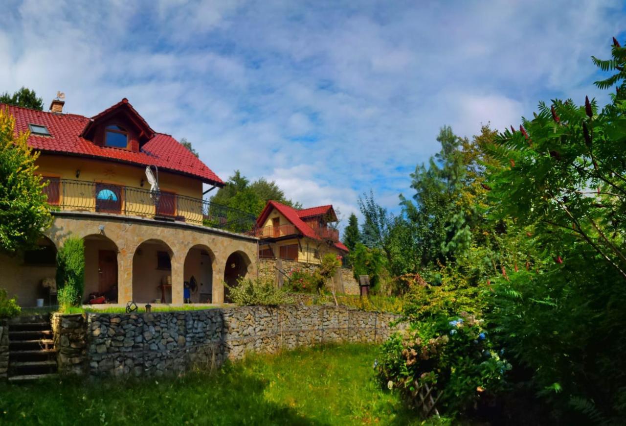 Willa Z Sauna Nad Jeziorem 61 Zywiec Exterior photo